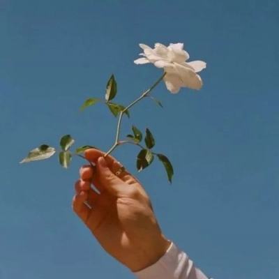 儿童宝宝早教乐园游戏下载
